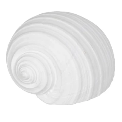 Afbeelding van Decoratieve figuren Wit Schelp 15 x 11 9 cm