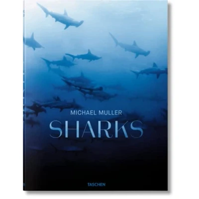 Afbeelding van Michael Muller. Sharks