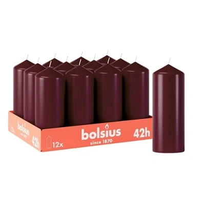Afbeelding van Bolsius Gladde Stompkaarsen 12 stuks Bordeauxrood 15 cm