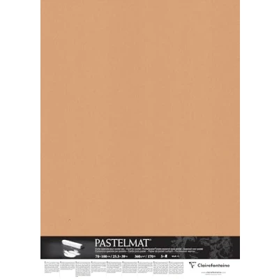 Afbeelding van Clairefontaine 296012C Pastelmat papier, 5 vellen, speciale kaart voor droge pastels, 70 x 100 cm, 360 g, Siena
