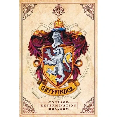 Afbeelding van ABYstyle ABYDCO778 Harry Potter Gryffindor Maxi poster, 61 x 91,5 cm