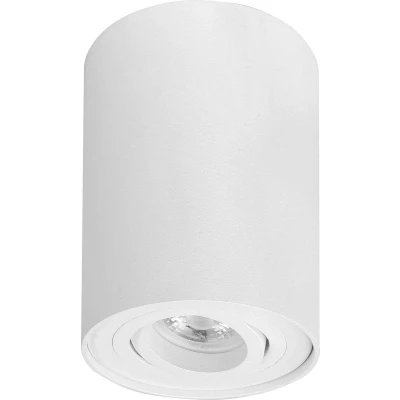 Afbeelding van HighLight plafondlamp Maxi Rebel stelbaar rond wit