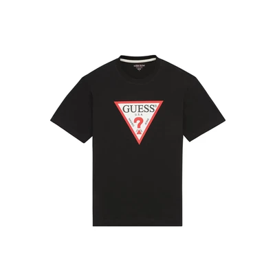 Afbeelding van Guess Iconic Tshirt print, Heren, Maat: XXL, Schwarz