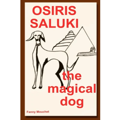 Afbeelding van Osiris Saluki, the magical dog