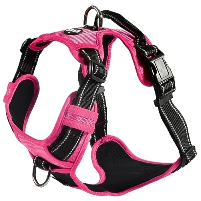 Afbeelding van Harnas Rando Walk Fuchsia S