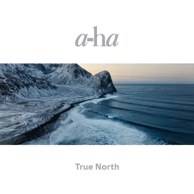 Afbeelding van A Ha True North (2 LPs)