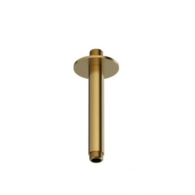Afbeelding van Hotbath Plafondbuis 15 cm Geborsteld Messing PVD AC452BBP