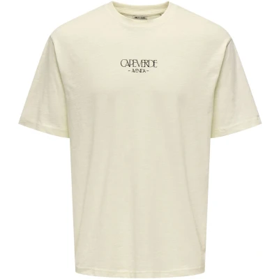 Afbeelding van Only and Sons Osjluis Palm Rlx Ss Tee Jrs