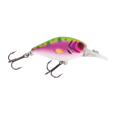 Afbeelding van Jackson Barschwobbler Rainbow Trout 5,3cm (8g) Plug