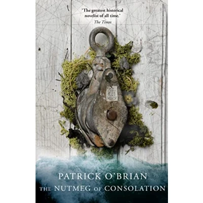 Afbeelding van The Nutmeg of Consolation: Book 14