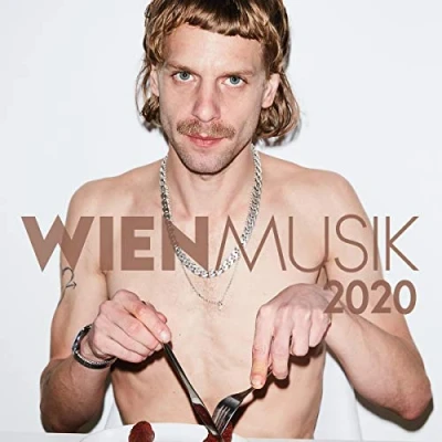 Afbeelding van Various Artists Wien Musik 2020 (CD)
