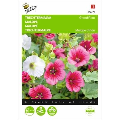 Afbeelding van Malope, Trechtermalva Grandiflora gemengd