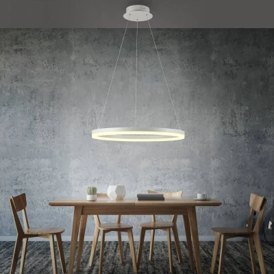 Afbeelding van Paul Neuhaus Moderne hanglamp Titus Ø 60cm wit 2382 16