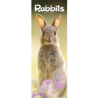 Afbeelding van Rabbits Kaninchen 2025: Original Avonside Kalender Slimline [Mehrsprachig] [Kalender]