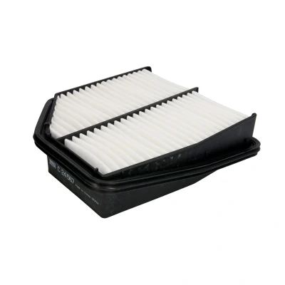 Afbeelding van Mann filter Luchtfilter C 24 567