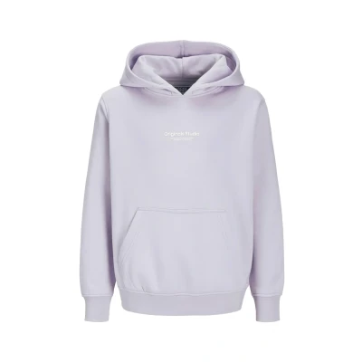 Afbeelding van JACK &amp; JONES JUNIOR hoodie JORVESTERBRO met tekst lila