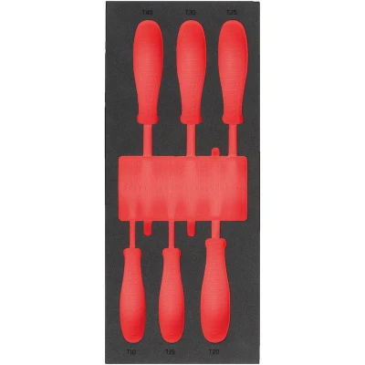 Afbeelding van Milwaukee Empty 6 pc Screwdriver TX Set 2 Foam Insert Lege Inlay schroevendraaier (6 delig) 4932493670