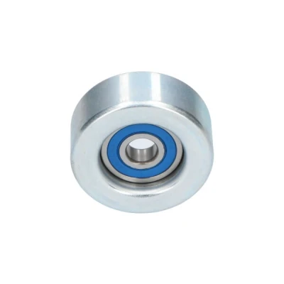 Afbeelding van Kavo Parts Geleiderol (poly) V riem DIP 8002