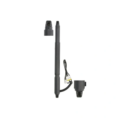 Afbeelding van gasveer, koffervloer MAGNUM TECHNOLOGY MGS3125MT