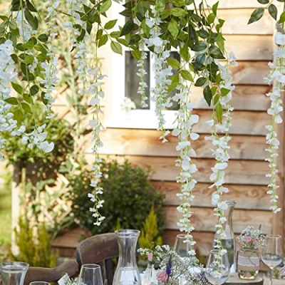 Afbeelding van Wisteria wit (4 stuks)