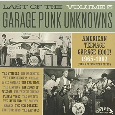 Afbeelding van V/A Last of the Garage Punk Unknowns 5 (LP)
