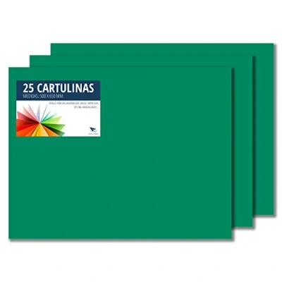 Afbeelding van Raylu Paper® 50 x 65 cm, 25 stuks, 180 g/m², ideaal voor knutselwerk, kantoor, tekenen, papyroflex (grenengroen)