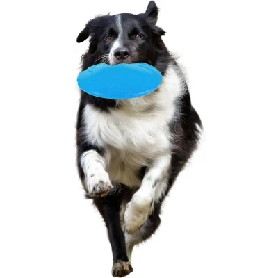 Afbeelding van Flamingo Hondenspeelgoed Rubber Morrison Frisbee Blauw 18 x 2.5 cm
