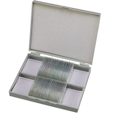 Afbeelding van Bresser Microscoop preparaten 30 stuks Mens