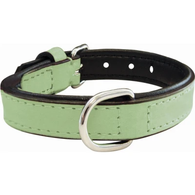 Afbeelding van Hondenhalsband Gloria Gestoffeerd Groen (40 cm) x 2