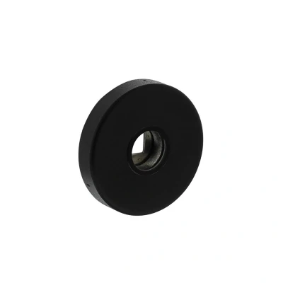 Afbeelding van Intersteel Rozet verdekt geveerd met nokken 53x10mm massief RVS/zwart