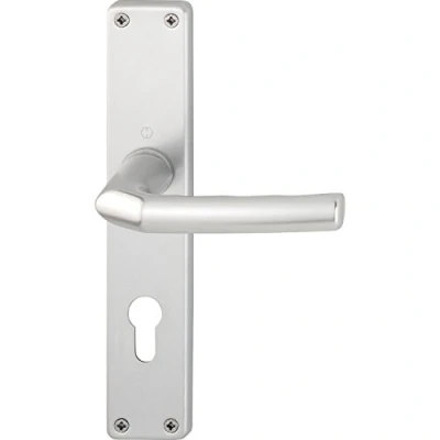 Afbeelding van HOPPE 2640124 deurkrukgarnituur Birmingham op langschild profielcilinder afstand 88 mm, voor deurdikte 30 49 zilver geanodiseerd