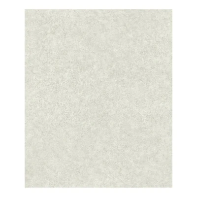 Afbeelding van Leen Bakker Dutch Wallcoverings Reflets Uni Lichtbeige 0,53x10,05m Behang Beige Vlies