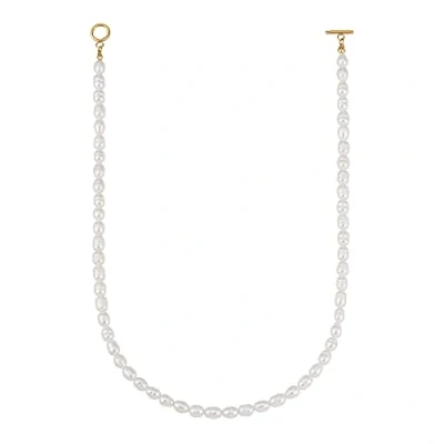 Afbeelding van Parelketting voor dames met zoetwaterparels waterproof I 18 karaats goudplating (45cm) Huidvriendelijke ketting zonder hanger. (Goud)