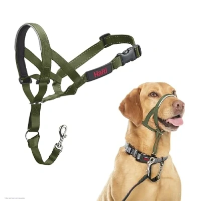 Afbeelding van Company of Animals HALTI Halster, om te voorkomen dat uw hond aan de riem trekt. Verstelbaar, reflecterend en licht, met gevoerde neusband, Forest Green, 3