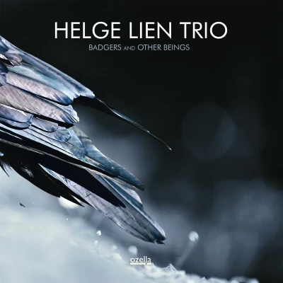 Afbeelding van Helge Lien Trio Badgers And Other Beings (CD)