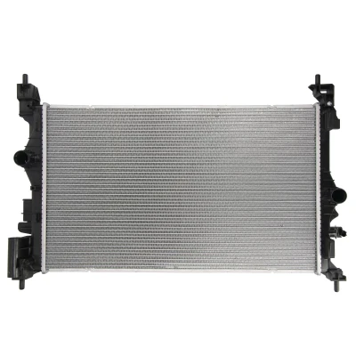 Afbeelding van Thermotec Radiateur D7X091TT