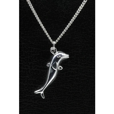 Afbeelding van Zilveren Dolfijn ketting hanger groot