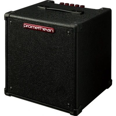 Afbeelding van Ibanez P20u Bas Combo