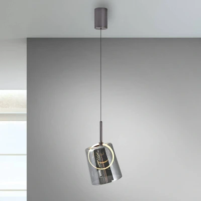 Afbeelding van Paul Neuhaus Hanglamp Zula smoked 2541 25