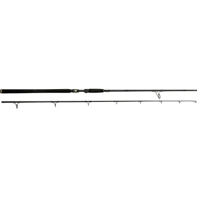 Afbeelding van Vishengel W3 powercast 2nd 8&#039;3&quot;/248cm xh 20 80g 2sec