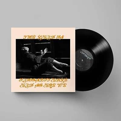 Afbeelding van Mitski Land is Inhospitable and So Are We (LP)