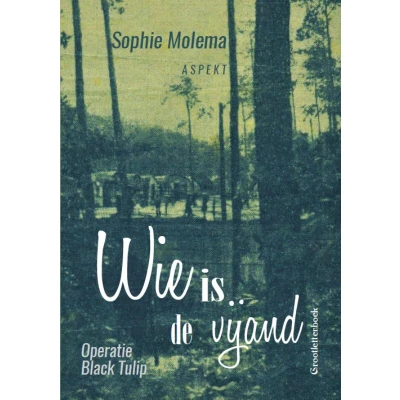 Afbeelding van Wie is de vijand GLB (Paperback)