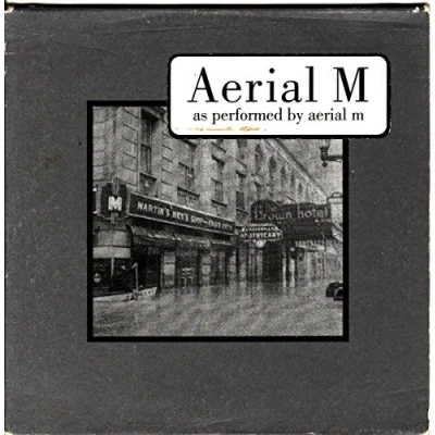 Afbeelding van Aerial M