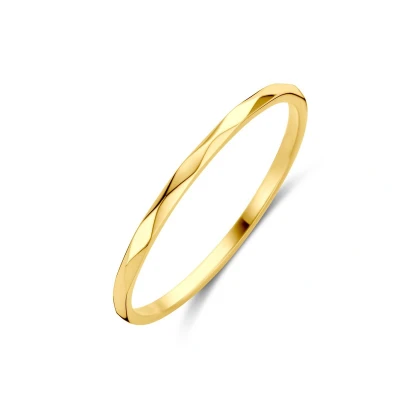 Afbeelding van 14K Geelgoud Ring 4031601