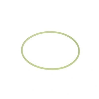 Afbeelding van O ring BOSCH F 00R 0P1 255