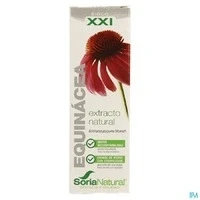 Afbeelding van Soria Echinacea purpurea XXI