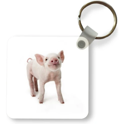 Afbeelding van Sleutelhanger Uitdeelcadeautjes Varken Dieren Wit Plastic