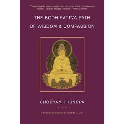 Afbeelding van the Bodhisattva Path of Wisdom and Compassion: Profound Treasury Ocean Dharma, Volume Two: 2