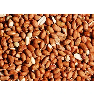 Afbeelding van Vogel hele pinda&#039;s kwaliteit vers voer voor wilde vogels tuin (10 kg)
