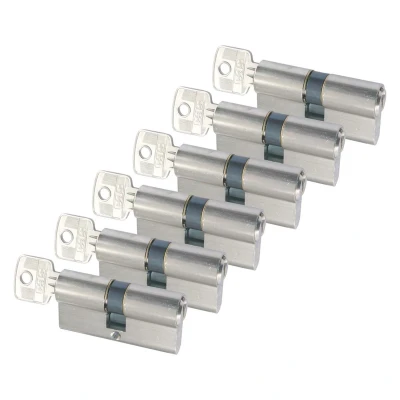 Afbeelding van Cilinder Starx 4 stuks (Dubbel, Gelijksluitend, SKG**, 30/30 mm, Vernikkeld, 12 sleutels)